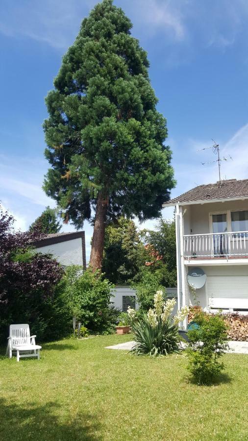 Ferienwohnung Schlossblick Bensheim Luaran gambar